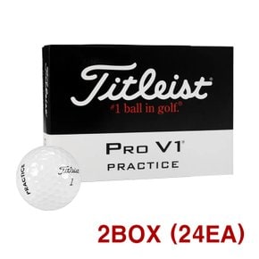 PRO V1 골프공 24구 병행