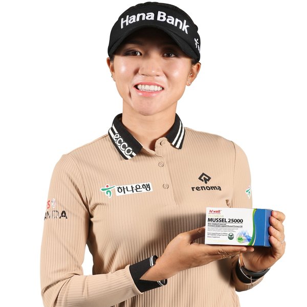 뉴질랜드 초록홍합 오일 25000 100정 3개 초록입 홍합 초록잎 푸른 그린