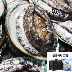 흑산도 활전복 선물세트  1kg 10-11미/대특