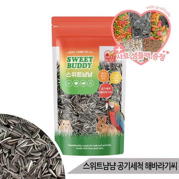 확대된 대표 이미지1