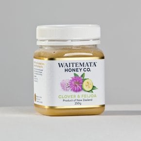 와이테마타 클로버 피조아 꿀 Waitemata Honey 250g