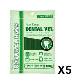 wk 펫츠 프라임 덴탈벳 100g X5 / 클로로필 개껌