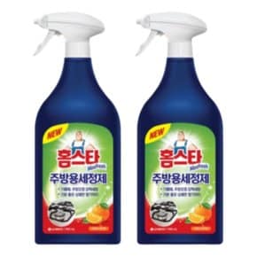 엘지생활건강 홈스타 맥스프레쉬 주방용세정제 900ml 2개