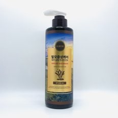 제주 감태 트리트먼트 500ml 아일랜드스토리 식약처 기능성 탈모증상케어 식물성