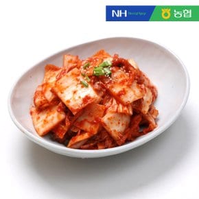 농협 풍산김치 맛김치 5kg (썰은김치) x 2봉