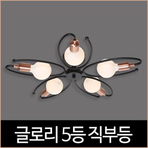 글로리 5등 블랙 직부등 거실등 인테리어 조명