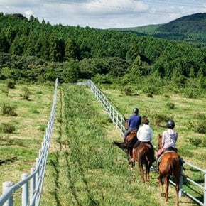 [오픈기념 30% 특별할인][제주] 원데이투어 옷귀마테마타운 힐링 승마 트래킹 서귀포 농촌크리에이투어