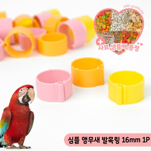이미지1