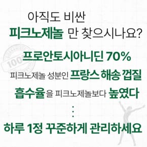 피크노제놀성분 프랑스해송 소나무껍질 추출물 120캡슐 3병 프로안토시아니딘