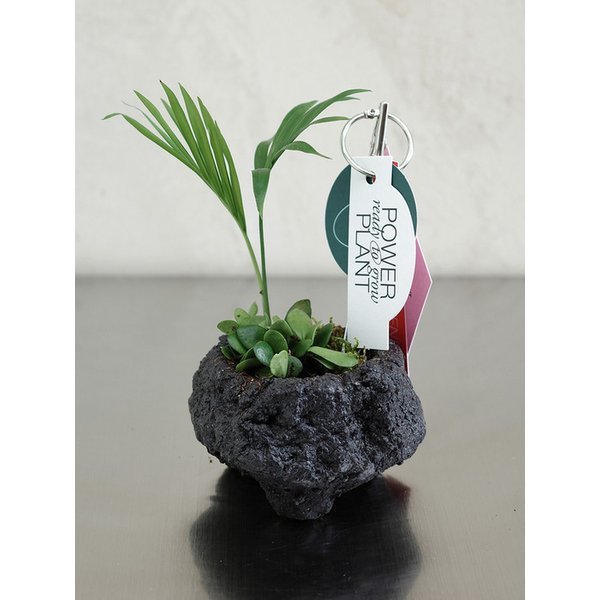확대된 대표 Main Image