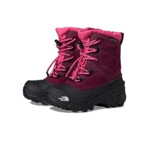 키즈 노스페이스 알펜글로우 V 워터프루프 방수 - Boysenberry/TNF 블랙 7131508