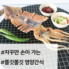 마른 오징어 안주 구룡포 말린 건조오징어 20미 1.5kg