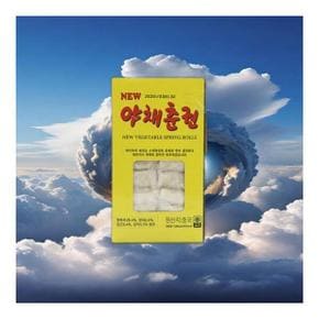 뉴 야채 춘권 냉동 15gx72입