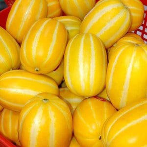 미미의밥상 프리미엄 정품 꿀맛 참외 1.5kg 대과 (2-4과)