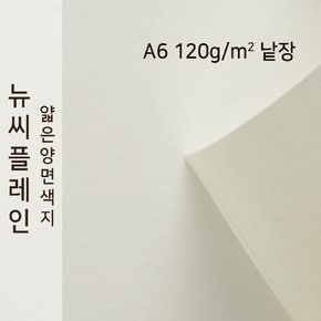 종이문화 뉴씨플레인 얇은 양면색상지 120g A6 No.53 백회 낱장 1매 색지