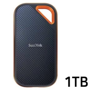 생활은 Portable SSD V2 외장하드 SSDE81 1TB (WE94AA8)