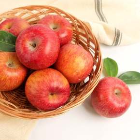 꿀 사과 정품 3kg(대과/6-8과)