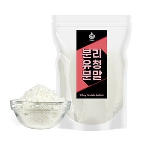 분리 유청단백질 분말 가루 500g