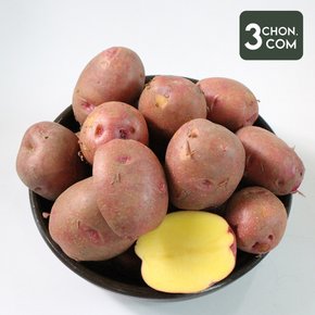 [삼촌농장] 햇 포슬포슬 붉은 홍감자(중) 3kg