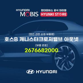 호스B 캐니스터크로저밸브 아웃넷 (2676682000)