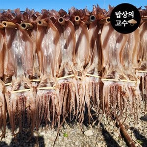  포항 구룡포 반건조 오징어 피데기 피대기 5마리 600g