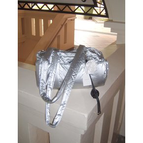 Park Bag_Silver