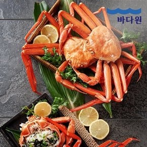 [ON] 구룡포 연지 홍게 특급형 3kg(10-12미)내외