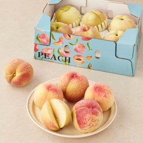[기획] 백도 복숭아 1.5kg (4~7입) 박스