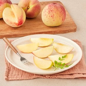 [기획] 백도 복숭아 1.5kg (4~7입) 박스
