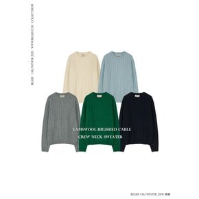 Lamswool Brushed Cable crew neck sweater (ECRU)