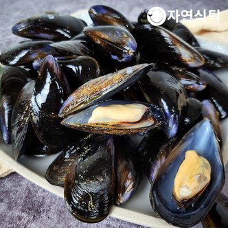 신세계라이브쇼핑 [산지직송]경남 통영 신선한 생 홍합 3kg
