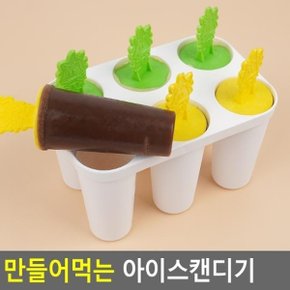 만들어먹는 아이스캔디기 아이스큐브 얼음봉지 아이스제빙기 아이스크림틀 수동제빙기