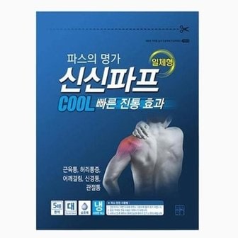  [신신제약] 신신파스 쿨 5매