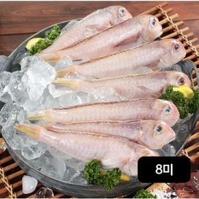 바다어랑 제주 통옥돔 8미(1.2kg)[33718234].