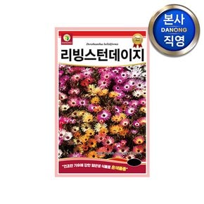 리빙스턴 데이지 씨앗 1000립 .혼색 일년생 분홍색 노란색 보라색 꽃 꽃씨 종자