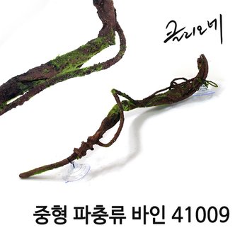 샘아쿠아 클리오네 중형 파충류 바인 41009/파충류 용품