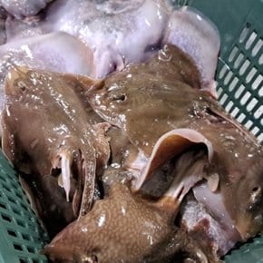 국내산 급냉 간재미 1kg 내외
