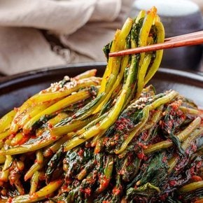 HACCP 인증 국산 재료로 만든 전라김치 전라도 열무김치 5kg