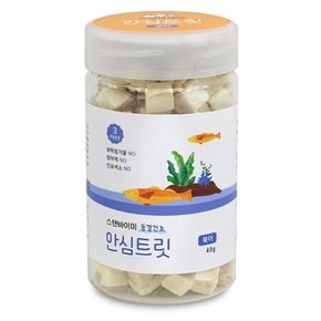 스텐바이미 동결건조 안심트릿 북어 40g 고양이 간식 사료