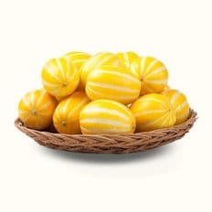 감좋은날 산지직송 성주 특상품 고당도 꿀 참외 로얄(중과/소과) 5kg