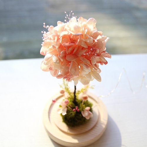 상품이미지7
