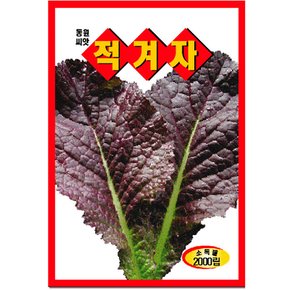 적겨자씨앗 2000립 쌈채소씨앗