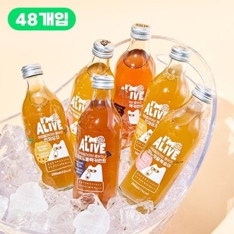  아임얼라이브 콤부차 250ml BOTTLE 48병