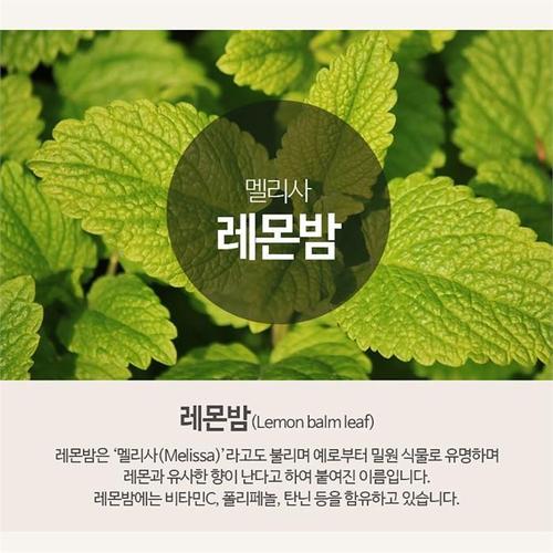 [올바른습관] 레몬밤잎 차 티 삼각티백 50티백 3개(3)