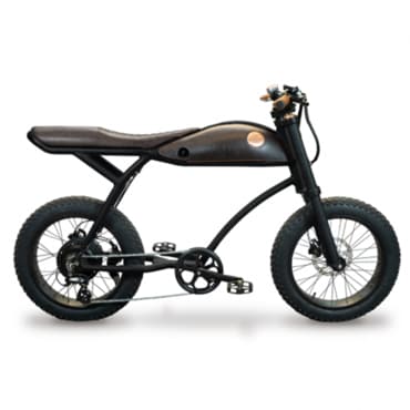 게이즈샵 RAYVOLT 레이볼트 링고 Rayvolt Ringo_스마트 허브 + 36V 듀얼 배터리