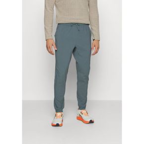 4881910 Patagonia TERREBONNE JOGGERS - Tracksuit bottoms nouveau green