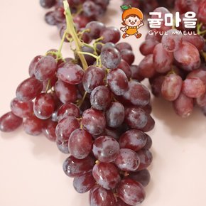 씨없는 고당도 크림슨 적포도 1kg