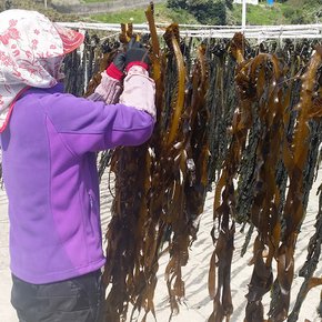 [산골어부] 여서도 자연산 돌 미역 150g 산모미역