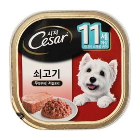 강아지 시저 시니어 소고기캔 100g 1P 애견 습식 사료 (WD3C2ED)