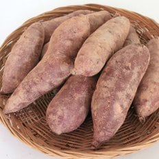 다농이네 해남 꿀 밤고구마 5kg 중상